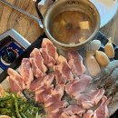 돈돼지먹어봐 이미지