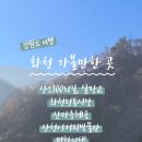 화천시티투어(평화누리호) 이미지