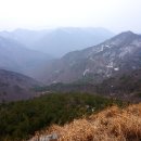 한내여자중학교 이미지