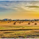 손해평가사 1차 - 상법 보험편 이미지