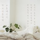 성무건축자재 | 청주입주청소 - 내가직접 성실한 청소업체