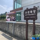 지리산목장 | [구례]지리산 치즈랜드 양떼목장&amp; 양 먹이주기 다녀온 후기