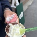 스쿠퍼 - 종로구 자하문로7길 10 | 삼각지 젤라또맛집 이탈리아 정부가 인증한 스쿠퍼 솔직 후기