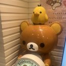 [5月-❸] riri in fukuoka (ずっと真夜中でいいのに「やきやきヤンキーツアー 続 名巧は愚なるが如し」)