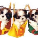 옥산중학교 이미지