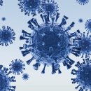 양천구 견인차량보관소 이미지