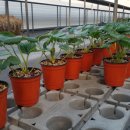 한전농장 이미지