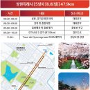 경남도청(도청사거리방면) | 6월 8일 투르 드 경남 2025 교통 통제 총정리, 미리숙지하세요!
