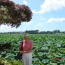 자연의향기 이미지