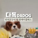 다독DADOG