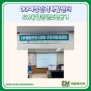 제주여성인력개발센터 SW융합콘텐츠전문가 양성과정 수업후기 (Feat. 에듀메이커제주)