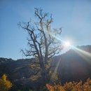 양평친환경농업박물관 | 가을 끝자락에 다녀온 양평 용문사 여행 후기..