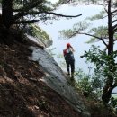 장암농장 Daum카페