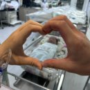 신여성병원 | 신여성병원 / 7월 제왕절개 후기 (1인실, 급여식)