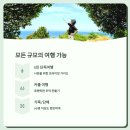 제주 럭셔리투어, 인생여행은 이렇게 시작됩니다