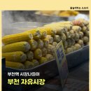 봉수니네 네이버블로그