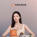 힘더힘