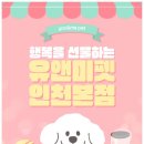 유미펫강아지분양고양이분양남양주점 | 남양주포메라니안분양, 유앤미펫에서 우리 가족을 만난 특별한 하루