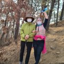 김사희의원 네이버블로그
