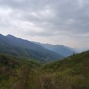 승현1농장 이미지