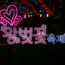 CU(벚꽃점) 이미지