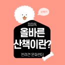 피피독 이미지