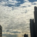 태일세탁소 이미지