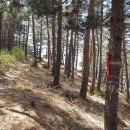 언별1리 이미지