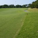 골프존카운티 안성W 이미지