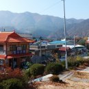 분천민박 이미지