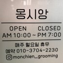 몽시앙 | [마곡] 마곡 강아지 미용 맛집 몽시앙그루밍살롱에서 비숑 미용 받고 온 후기