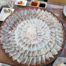 [공지] “주지육림(酒池肉林)”과 승자적 관점의 역사