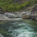 곰배령이야 이미지