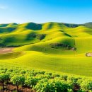 청정신흥농촌체험휴양마을 | 농촌체험, 아이와 어른 모두 즐기는 특별한 하루