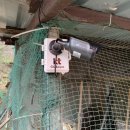 용두휴게소 이미지