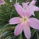 광바위주유소 이미지