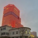 누가네가든 | 중국 칭다오🇨🇳 | 칭다오 3인 숙소 (칭다오 이하이 가든 호텔(5.4 광장)) 후기