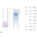 피토(Pitot) 이미지