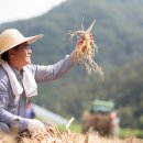 동방조아나 티스토리