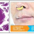 천하종합광고 - 안산시 상록구 양지마을3길 19-13 | 천하종합광고