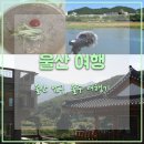 구영앞길 | [울산 여행] 태화강 ASMR 사운드워킹, 느좋 카페 방문기