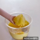 바스켓모먼트 이미지