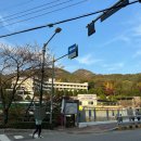 남촌농수산물시장(과일1동_7) | 서울 근교 안양 지맨카라반파크 : 등갈비&amp;조개구이 바베큐 파티