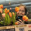 꽃꽂이 | 꽃꽂이 클래스 후기 홈플러스 문화센터 성인강좌
