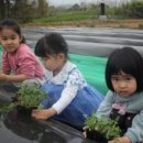 진원동초등학교 이미지