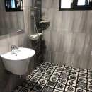 메르시 애견 펜션 이미지