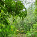 옛골가든 이미지