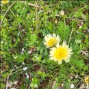 만성농장 이미지