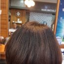 박정연살롱 | 군산대 미룡동 미용실 박정연헤어