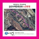 [여강길 1코스 옛나루터길] 금은모래강변공원 노선 변경 이미지